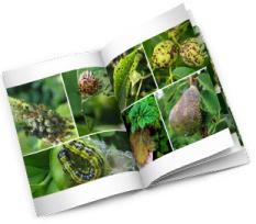 Catalogus van ziekten en plagen
